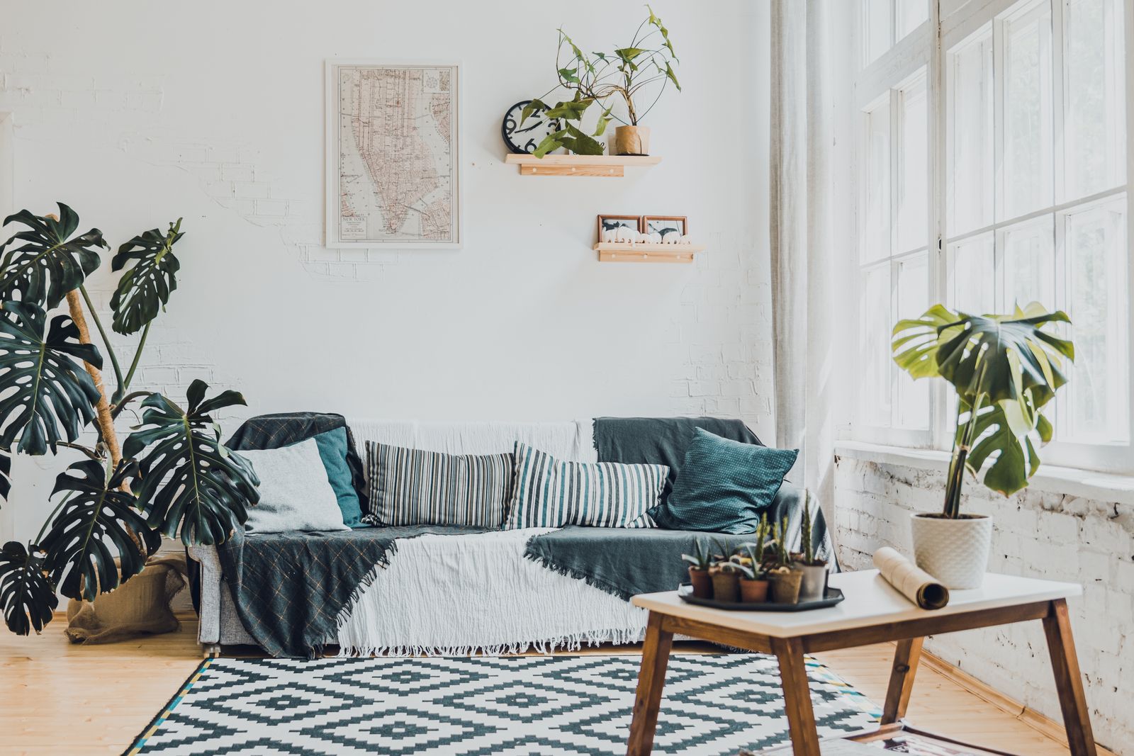 Apartment living room with a gray sofa, patterned rug, and potted plants by the window