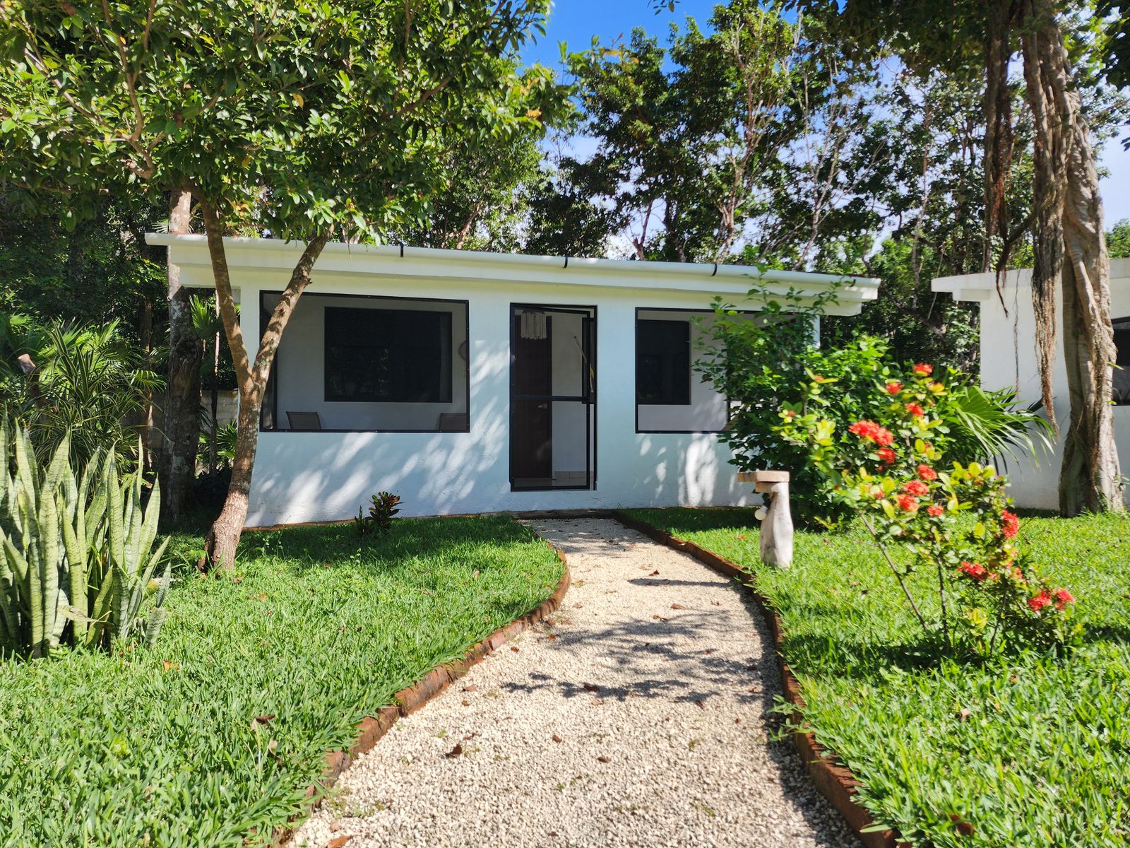 Small white house with a gravel path, lawn, and flowering shrubs