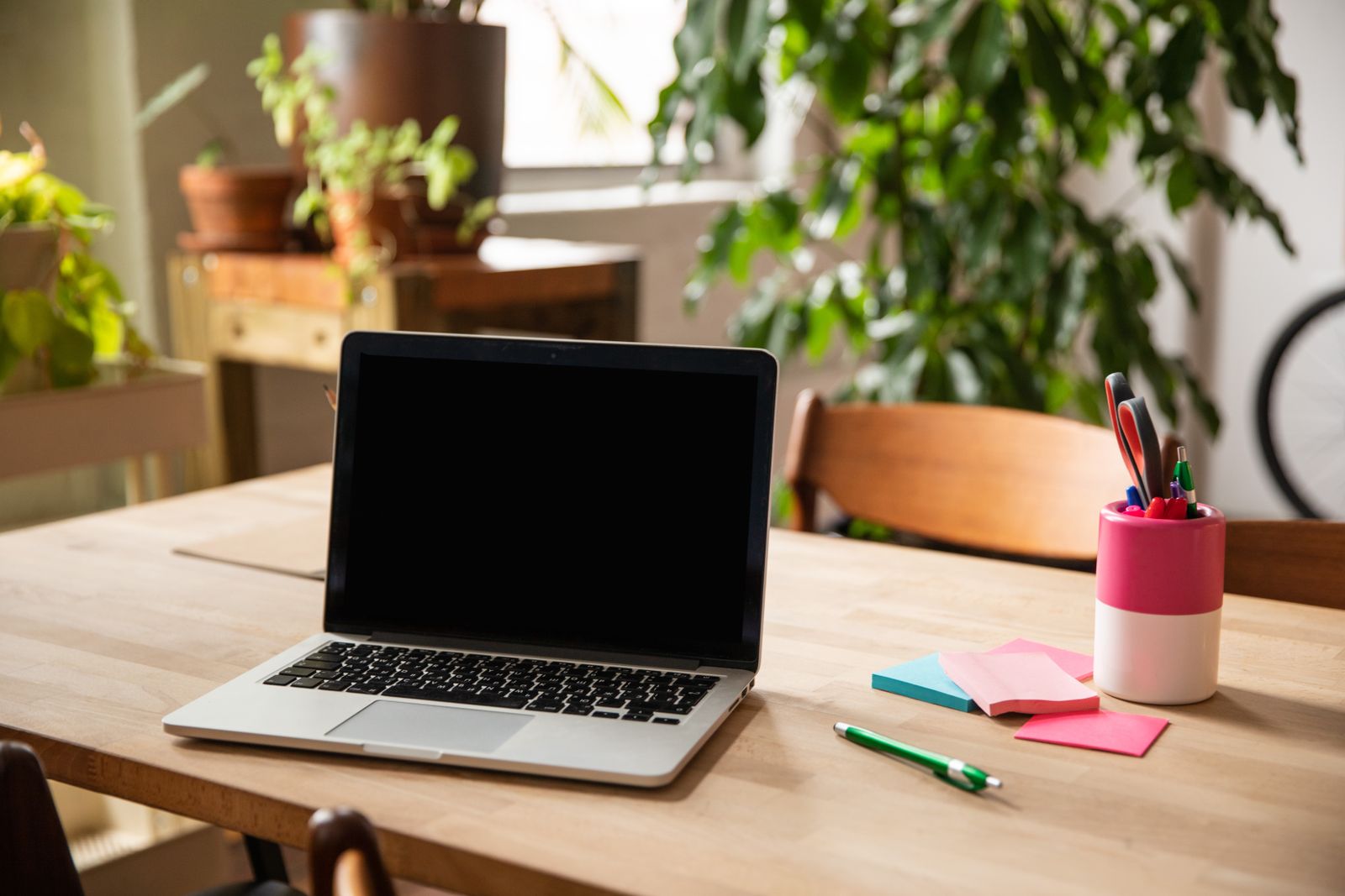 Open laptop on a wooden desk with sticky notes, a pen, and houseplants